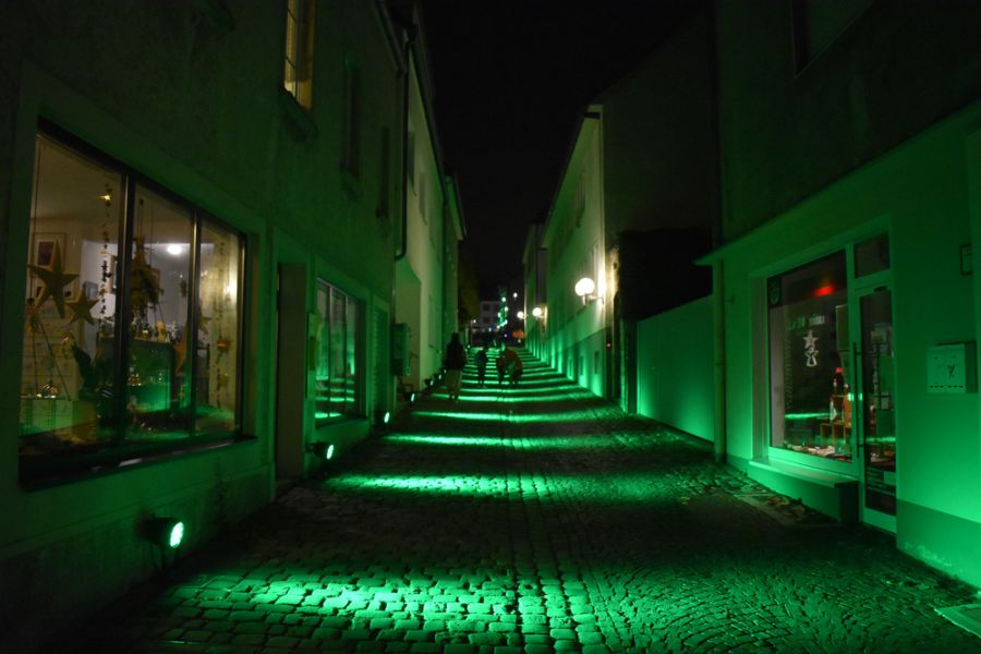 Paderborner Martinslauf 2025